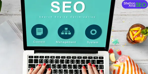 บทความ seo คือ ทางรอดในปี 2025